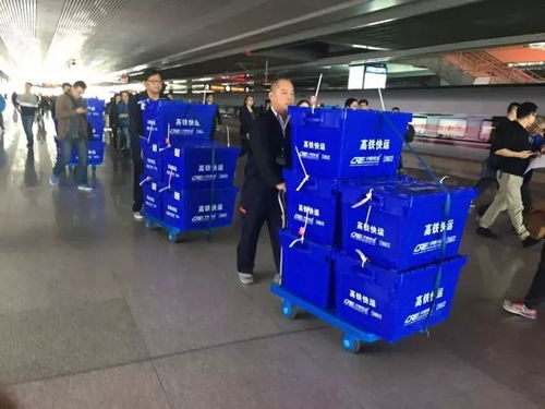 中國鐵路五年藍(lán)圖 2020年高鐵里程達(dá)3萬公里，貨物運輸代理體系同步優(yōu)化